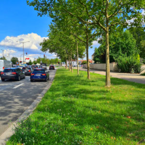 Donau-Einkaufszentrum, Walhalla Allee/Weichser Weg PP 3.5/4.